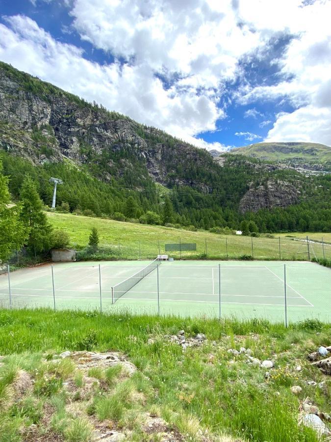 Alm Appartement